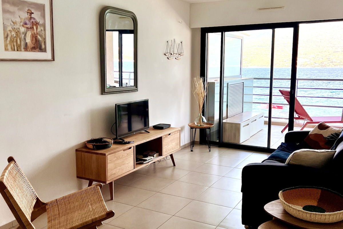 Propriété Airbnb réussie: New – Propriano T3 Feet in the water – sea view à Propriano