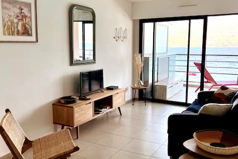 Successful Airbnb property: New – Propriano T3 Feet in the water – sea view in Propriano