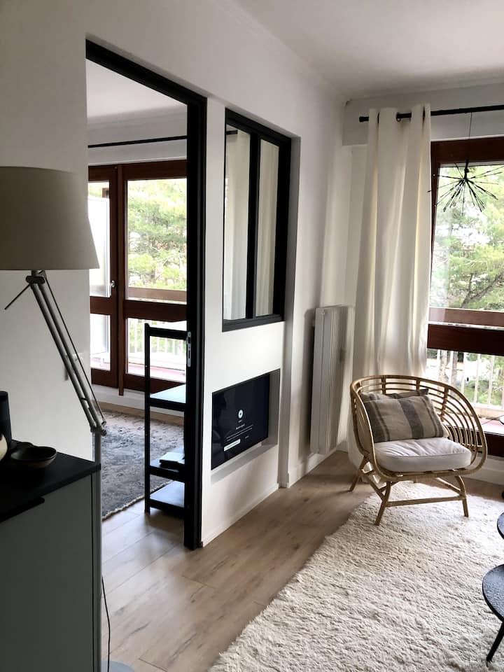 Appartement 40 M2 4 Pers Balcon - Ibis Styles Le Touquet