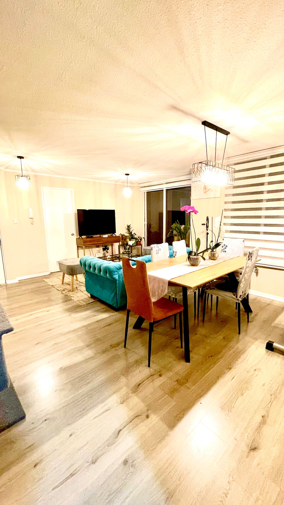 A dining area features a long wooden table surrounded by colorful chairs. A comfortable sofa is positioned nearby, offering a relaxed seating option. Natural light is admitted through a large window with layered shades, enhancing the inviting atmosphere. Decorative plants and a television are also present.