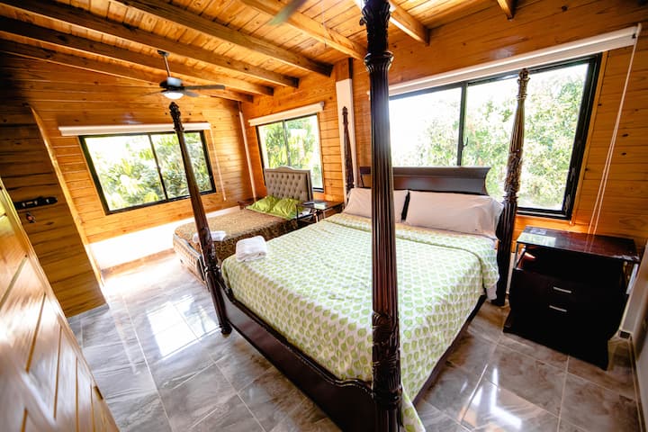 Habitación 1