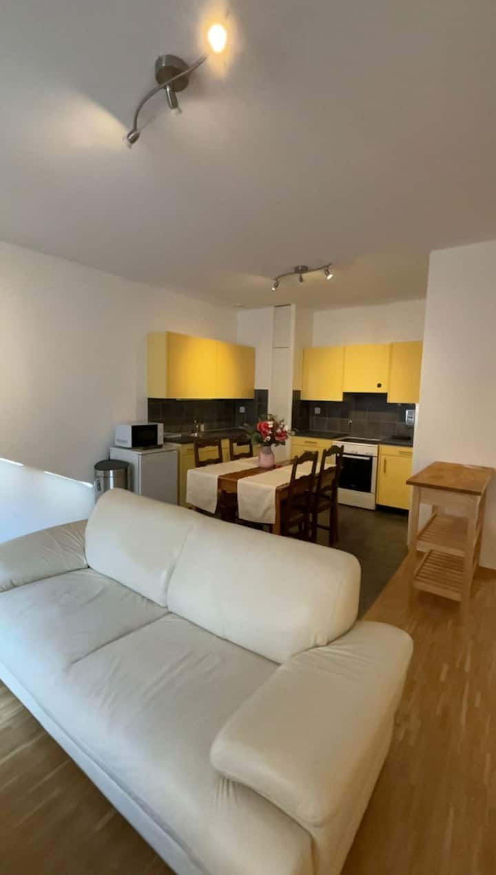 Spacious Bright Room Unimail University Citycenter - Geneva