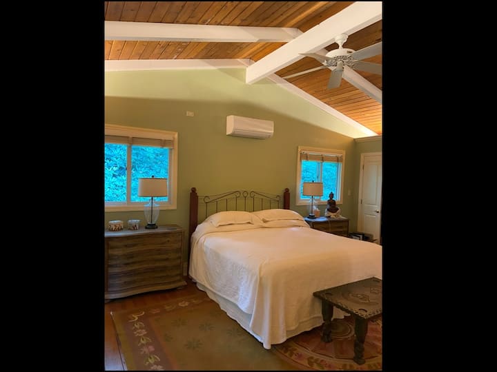 Master Bedroom na kitanda kizuri cha ukubwa wa mfalme