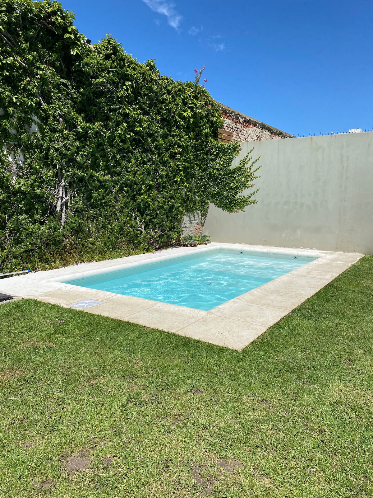 A small rectangular pool is surrounded by a neatly trimmed green lawn. Lush greenery lines one side of the pool, providing a natural backdrop. Sunlight reflects off the clear water, which is framed by a light-colored stone border.
