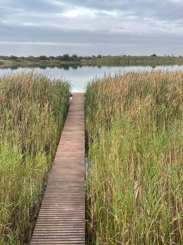 Elegance with a view on the Lake gallery image 5