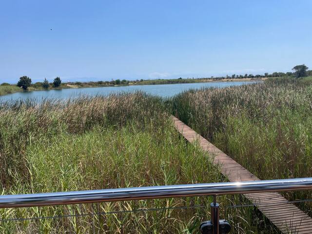 Elegance with a view on the Lake gallery image 2