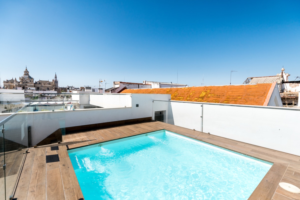 A rooftop pool is highlighted, featuring clear blue water surrounded by wooden decking. Glass barriers provide an unobstructed view of the sky and surrounding rooftops, including a distant view of historic architecture.