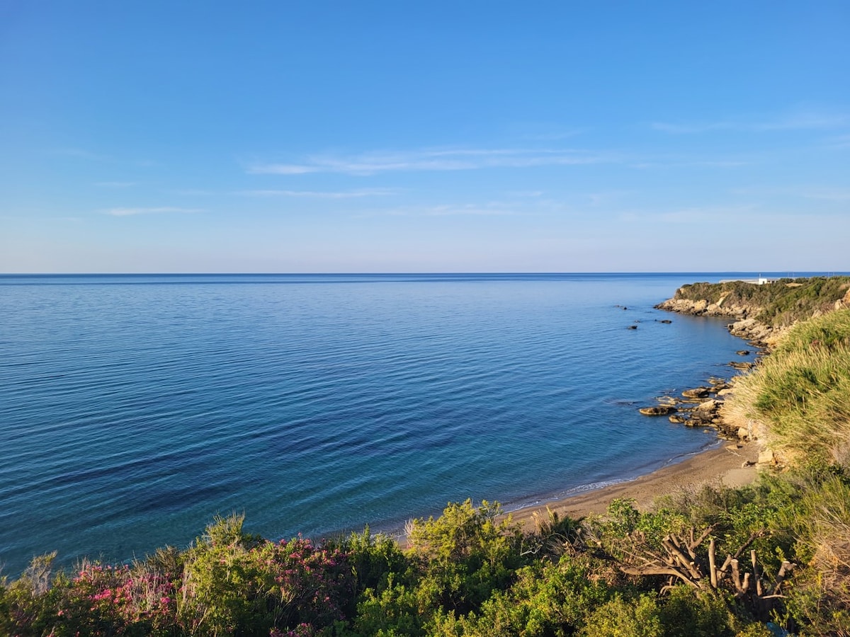 A serene view of the coastline captures the calm sea meeting the horizon. Gentle waves ripple across the water, reflecting the clear blue sky. Lush vegetation borders the sandy beach, creating a peaceful natural setting.