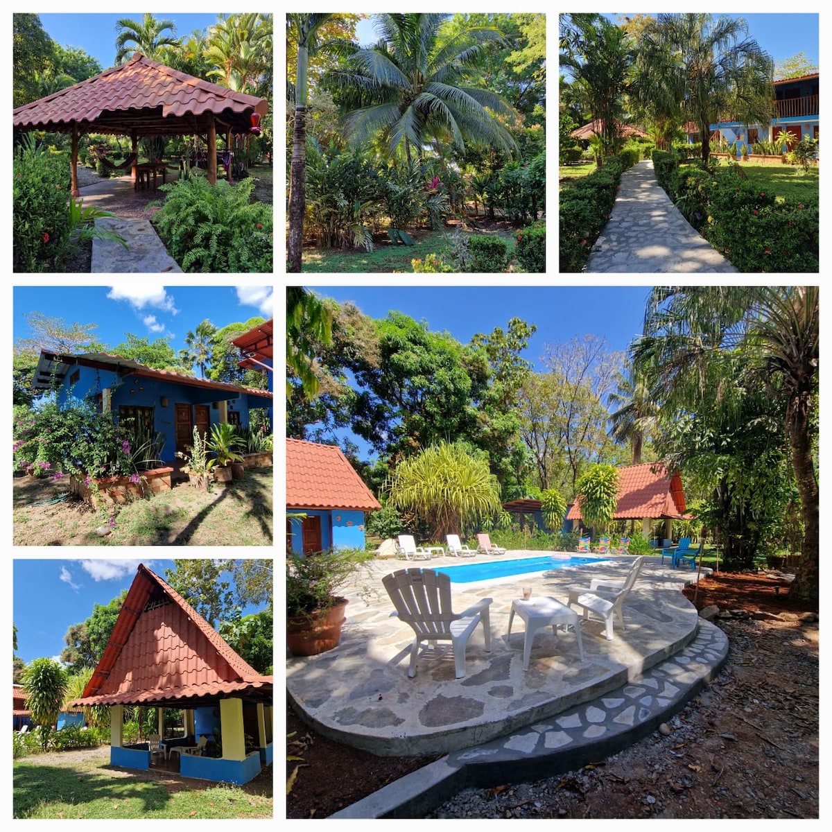 A collection of images depicts a tropical setting featuring lush gardens with palm trees. A pathway leads to a gazebo with a thatched roof and rustic seating. A refreshing pool area is surrounded by lounge chairs and colorful buildings that integrate harmoniously with nature.