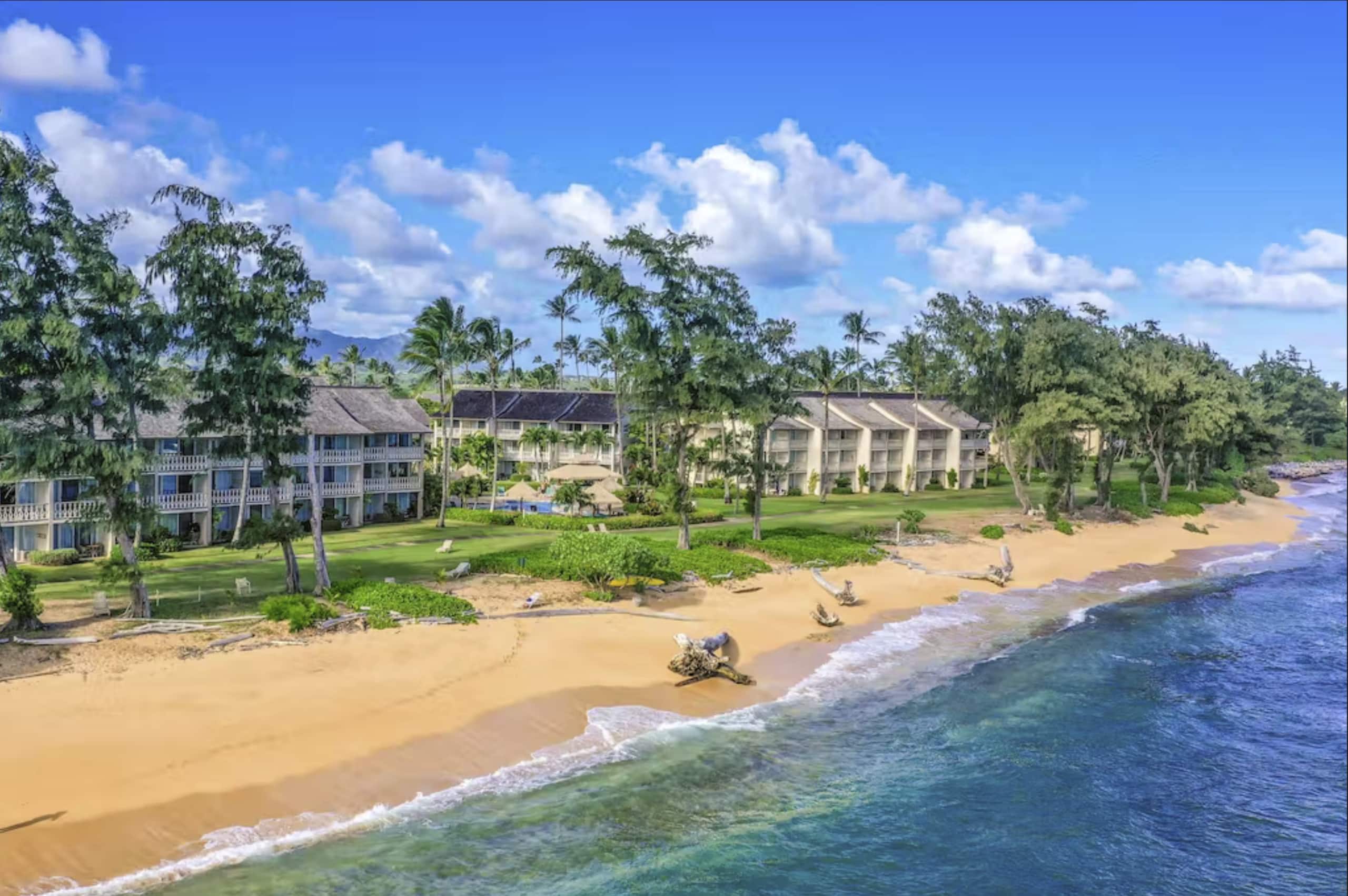 Beautiful OCEAN VIEW with free Parking & Top Floor - Photo 25
