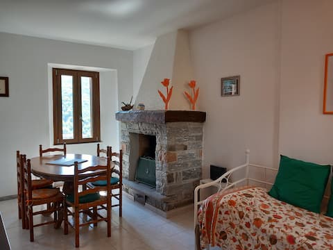 Lake Artists Home