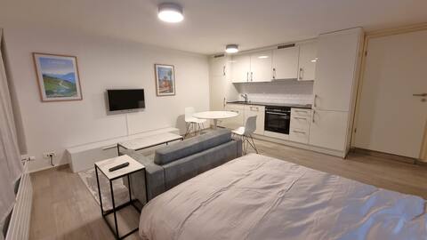 Furnished and equipped studio