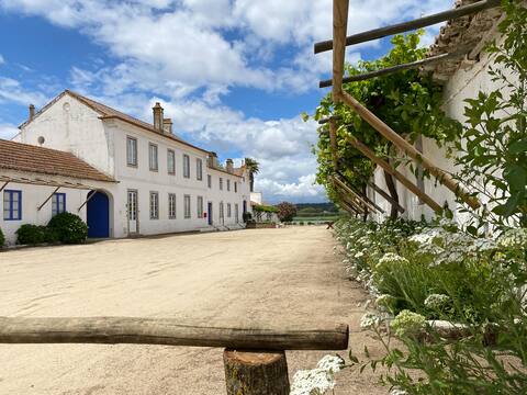 Quinta Grande
