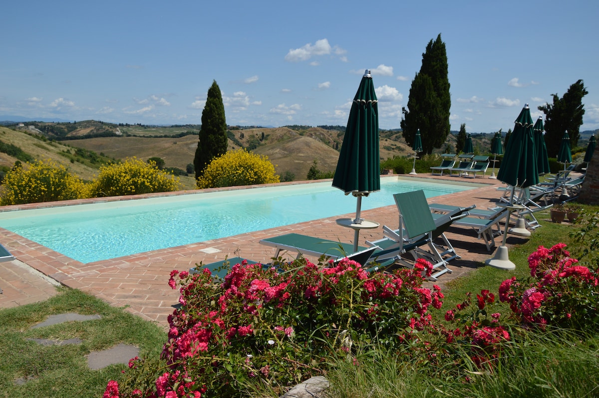 A serene outdoor pool area is framed by lush green hills and flowering shrubs. Several lounge chairs arranged along the pool's edge invite relaxation, while large umbrellas provide shaded spots. The clear blue water reflects the sky, enhancing the tranquil atmosphere of the setting.