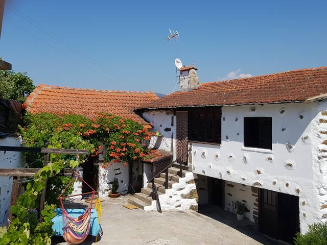 A Cancela House Arouca Paiva Walkways gallery image 2