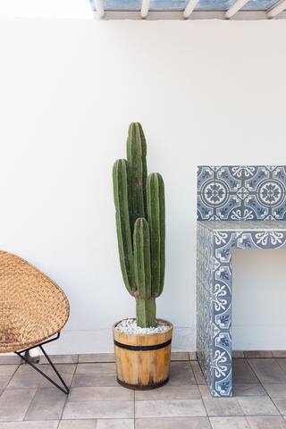 Casa Coyoacán – Private Rooftop gallery image 4