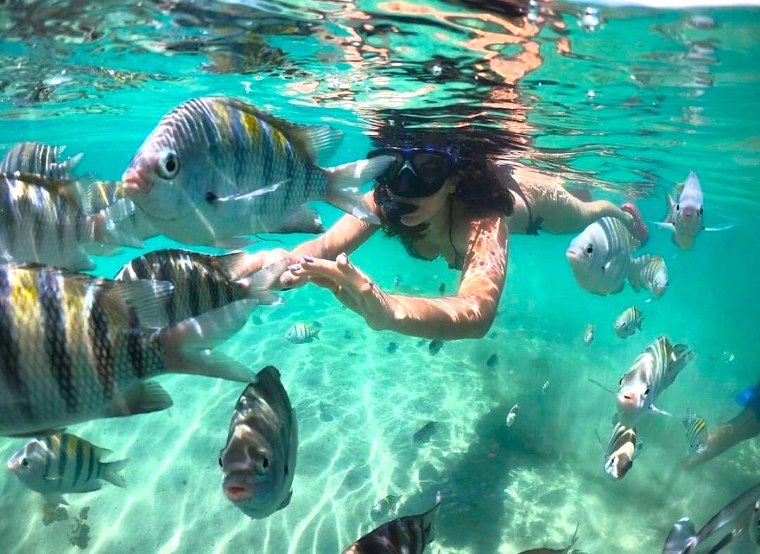 An underwater scene captures a swimmer exploring clear turquoise waters. Schools of various striped and spotted fish swim nearby, creating a lively aquatic environment. Sunlight filters through the surface, illuminating the ocean floor, which is visible in the background.