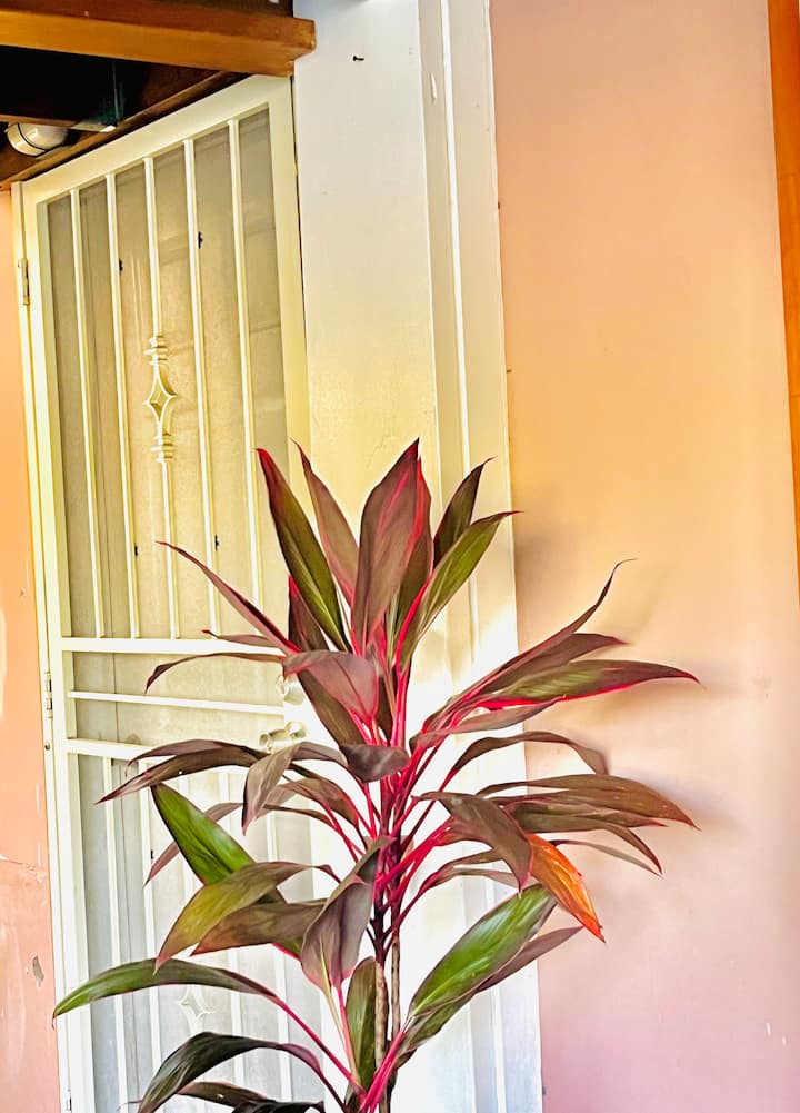 Apia Apartment holiday rentals Upolu, Samoa Airbnb