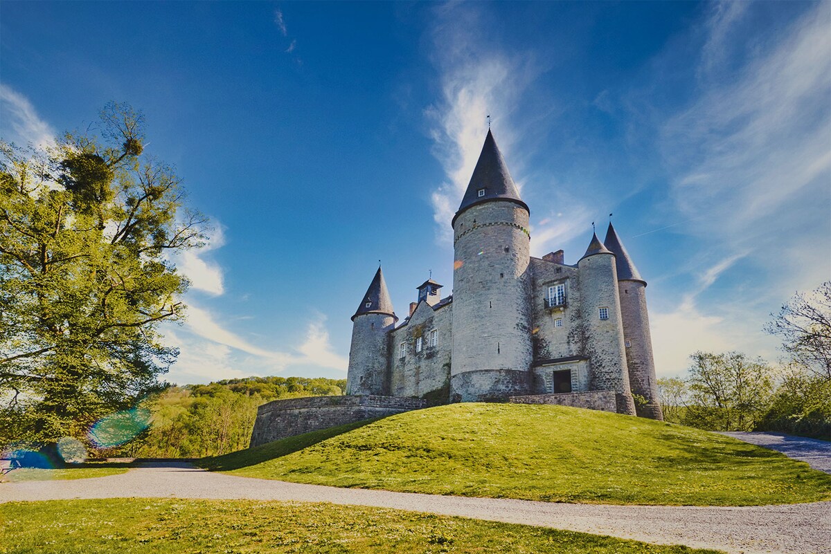 A historic castle is nestled on a grassy hill, featuring four prominent towers with pointed rooftops. The landscape is dotted with trees, and a clear blue sky with wispy clouds provides a picturesque backdrop. A pathway leads towards the castle, enhancing its inviting presence.