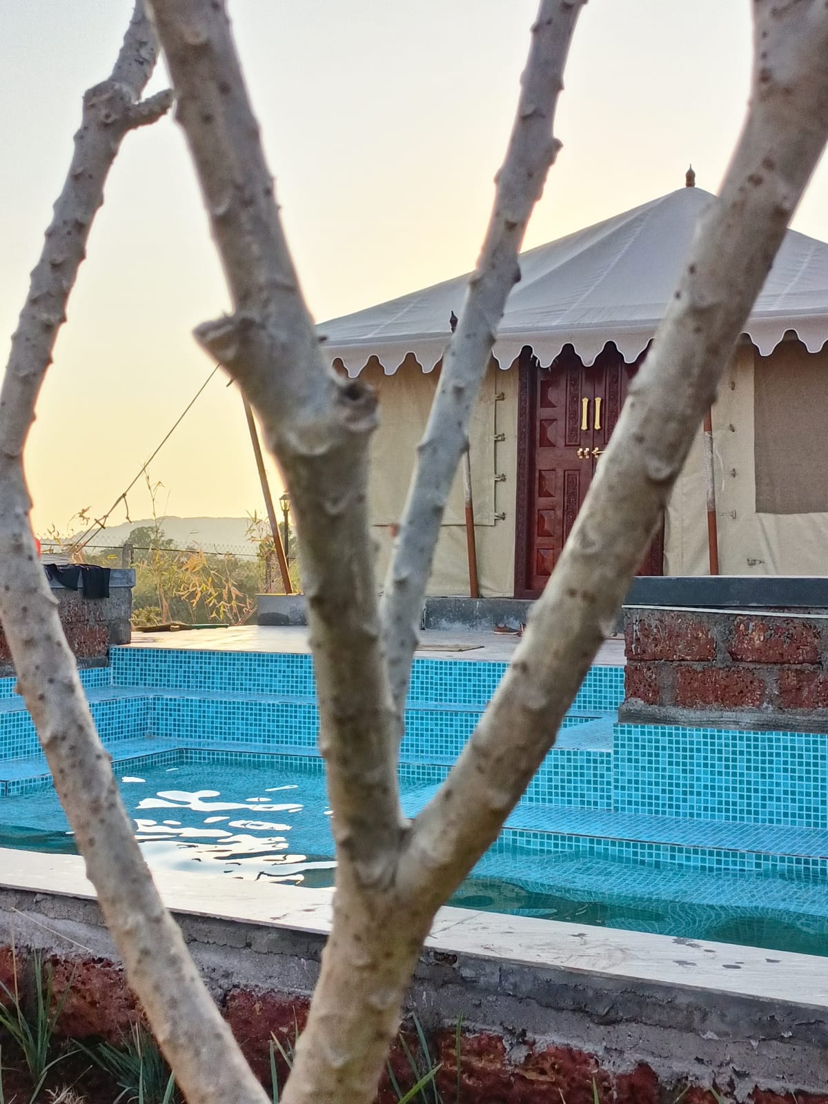 A glimpse of the royal tent house is framed by a tree branch, with a private pool visible in the foreground. The pool features mosaic tiles and reflects the warm hues of a sunrise, creating a serene atmosphere. The tent's entrance is partially visible in the background.