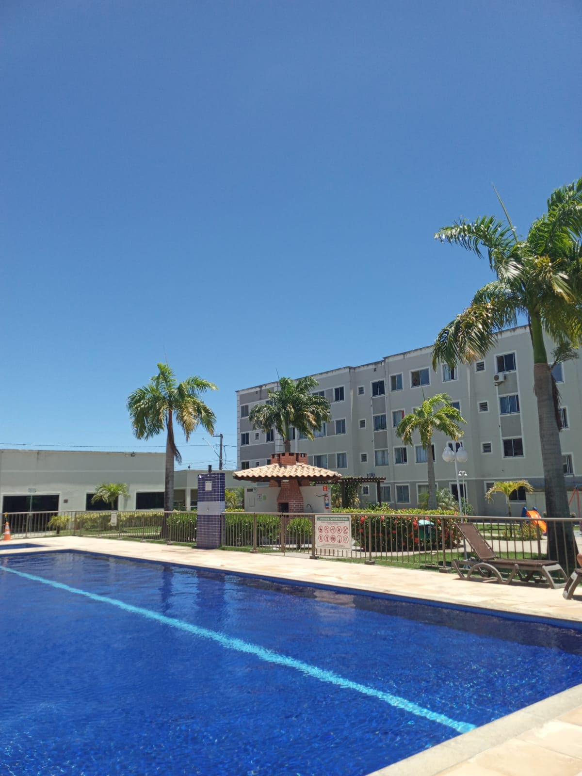 A large swimming pool is surrounded by palm trees, with a clear blue sky overhead. A shaded gazebo is visible nearby, and part of a multi-story building can be seen in the background, adding to the outdoor ambiance.