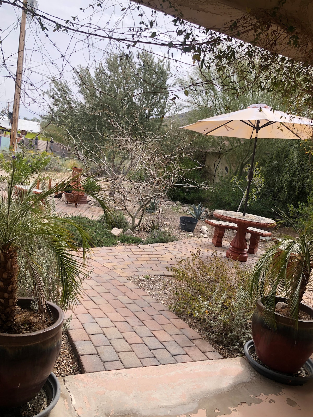 A paved pathway leads through a desert garden, surrounded by low shrubs and sparse trees. Stone seating is positioned near an umbrella for shade, offering a serene space to relax. Various plants are arranged in decorative pots, contributing to the welcoming outdoor environment.