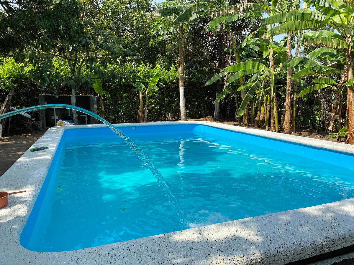 A refreshing pool is surrounded by lush greenery, including banana trees. The clear blue water sparkles in the sunlight, with a gentle fountain feature adding movement. A spacious area around the pool invites relaxation and outdoor activities.