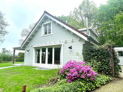 KempenLodge, luxury 8prs forest house in Brabant nature