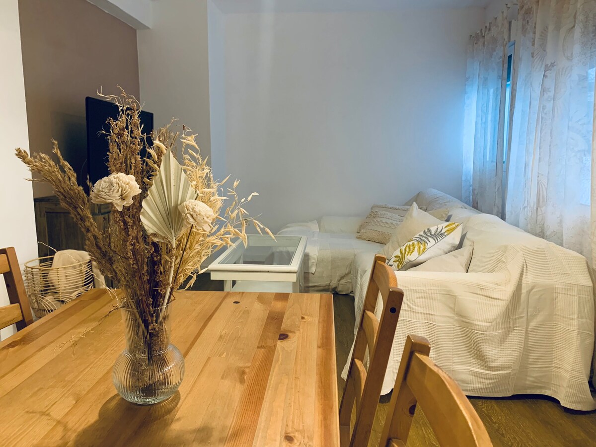 Top performing Airbnb: Piso en Valencia very well connected in Rascanya