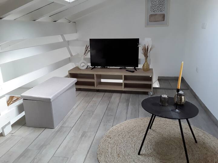 télévision avec Netflix en mezzanine