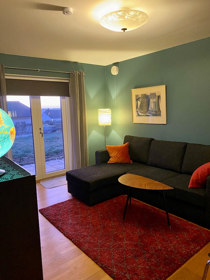 Dhomë vizitorësh me divan-krevat. 