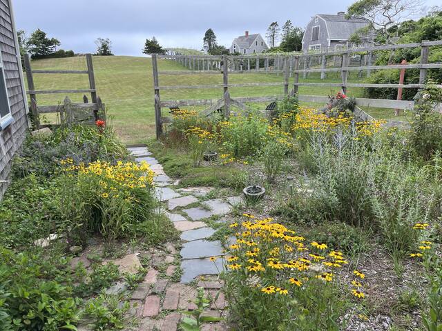Vineyard Cottage at Spar Point Farm Block Island gallery image 3