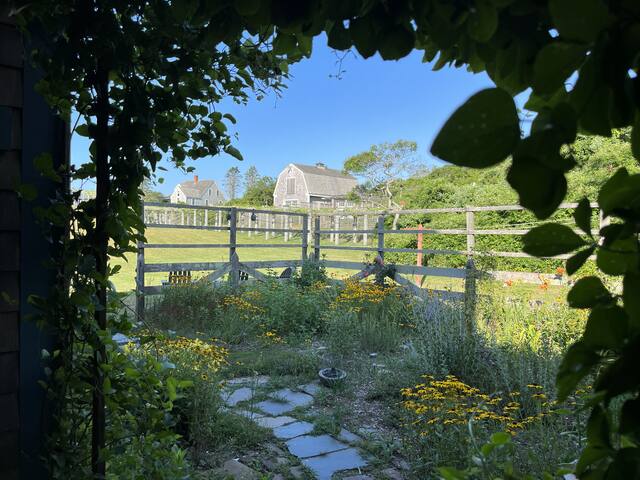 Vineyard Cottage at Spar Point Farm Block Island gallery image 5