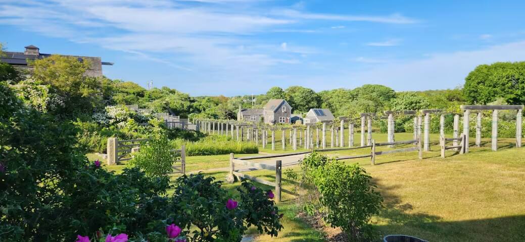 Vineyard Cottage at Spar Point Farm Block Island gallery image 2
