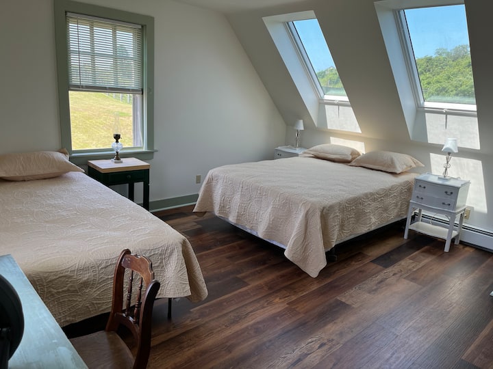 Upstairs bedroom with skylights and two queen beds