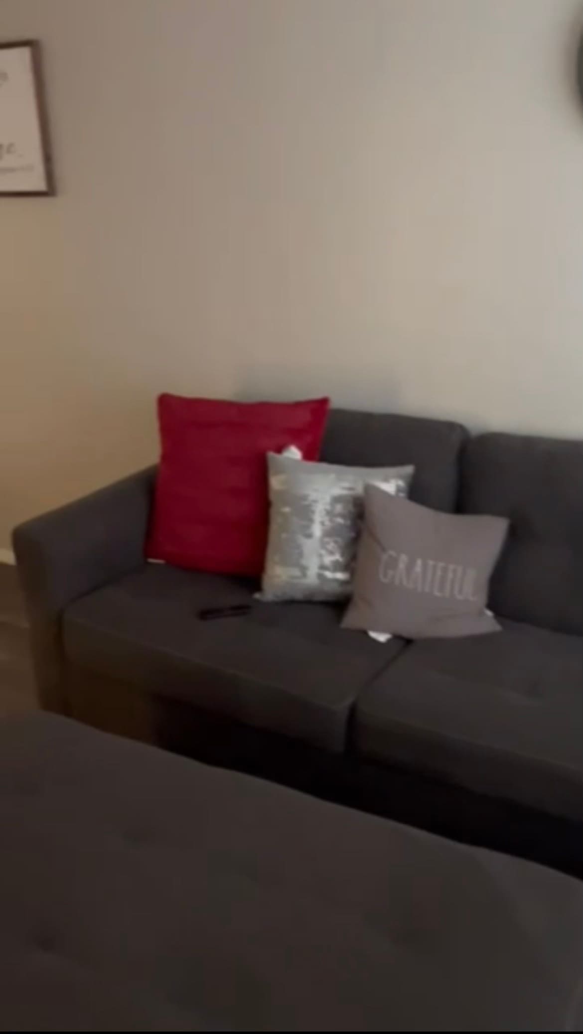 A comfortable gray sofa features decorative pillows in varying textures and colors, including red and silver tones. A coffee table is positioned in front, creating a cozy seating area.
