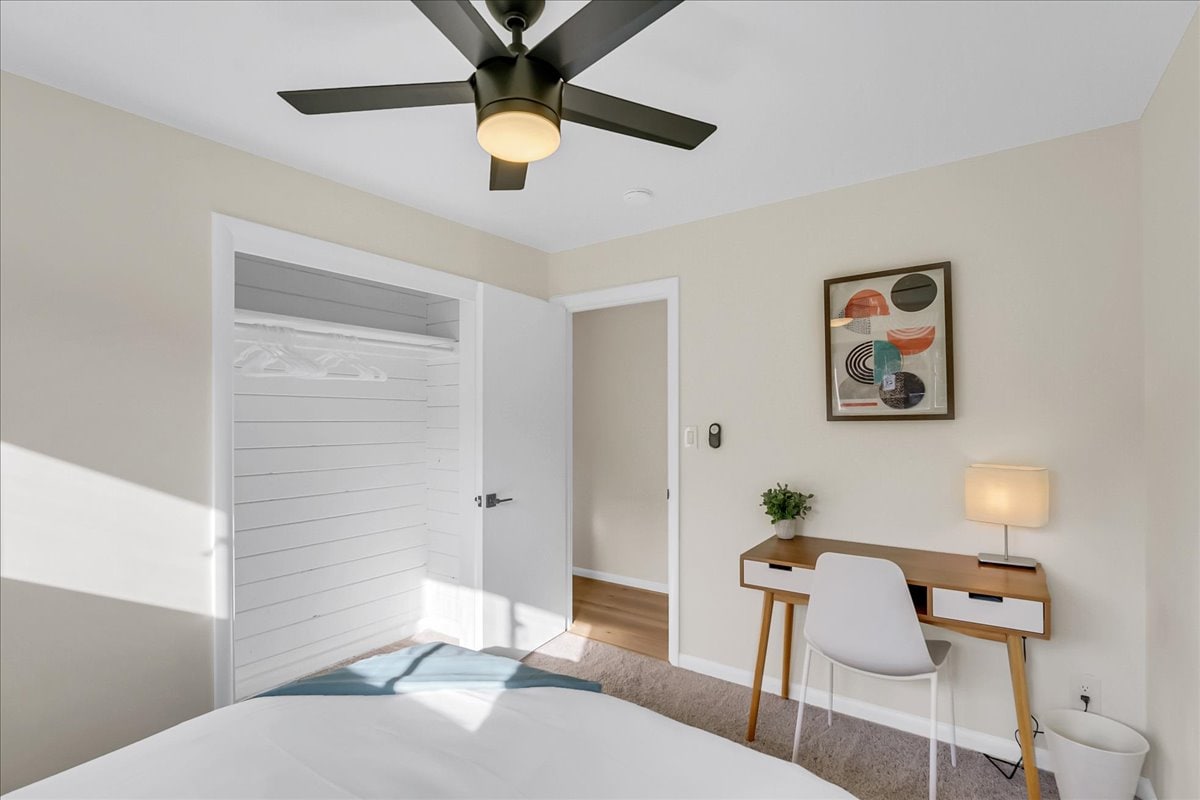 Chumba cha Brown. Kitanda cha Malkia na dawati kwa ajili ya kufanya kazi. Mapazia meusi katika vyumba vyote vya kulala.