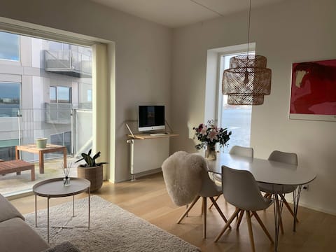 Bright apartment with fjord view