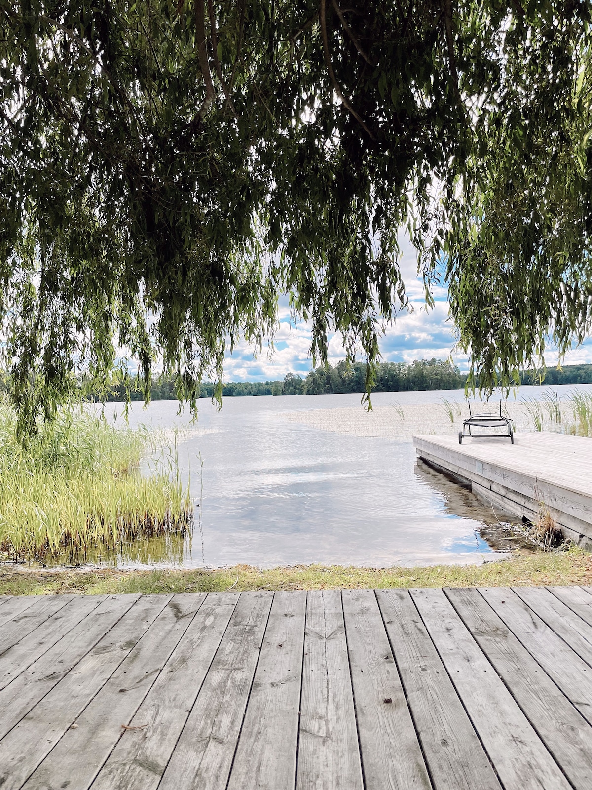 A serene view of a lake is framed by gentle willow branches. The wooden dock extends into calm water, with soft grass and reeds lining the shoreline. Clouds drift above, reflecting a peaceful atmosphere conducive to relaxation.