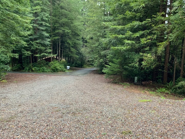 Serene restful redwoods getaway Houses for Rent in Crescent City, California, United States