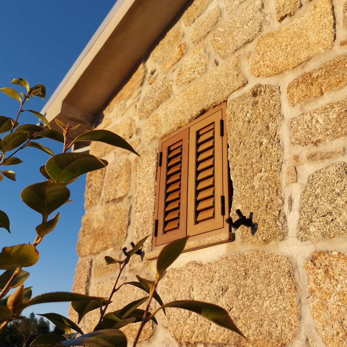 A stone wall features a brown wooden shutter, meticulously detailed with horizontal slats. The warm glow of sunlight highlights the textures of the stone, while green foliage partially frames the window, providing a natural touch to the rustic exterior.