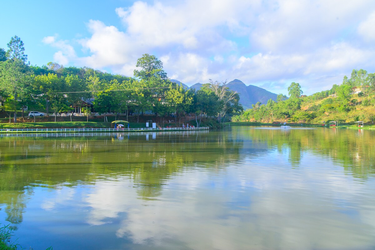 A serene lake reflects the surrounding greenery and blue sky, with gentle hills appearing in the background. The still water captures the shapes of trees and clouds above, creating a calm and peaceful landscape.