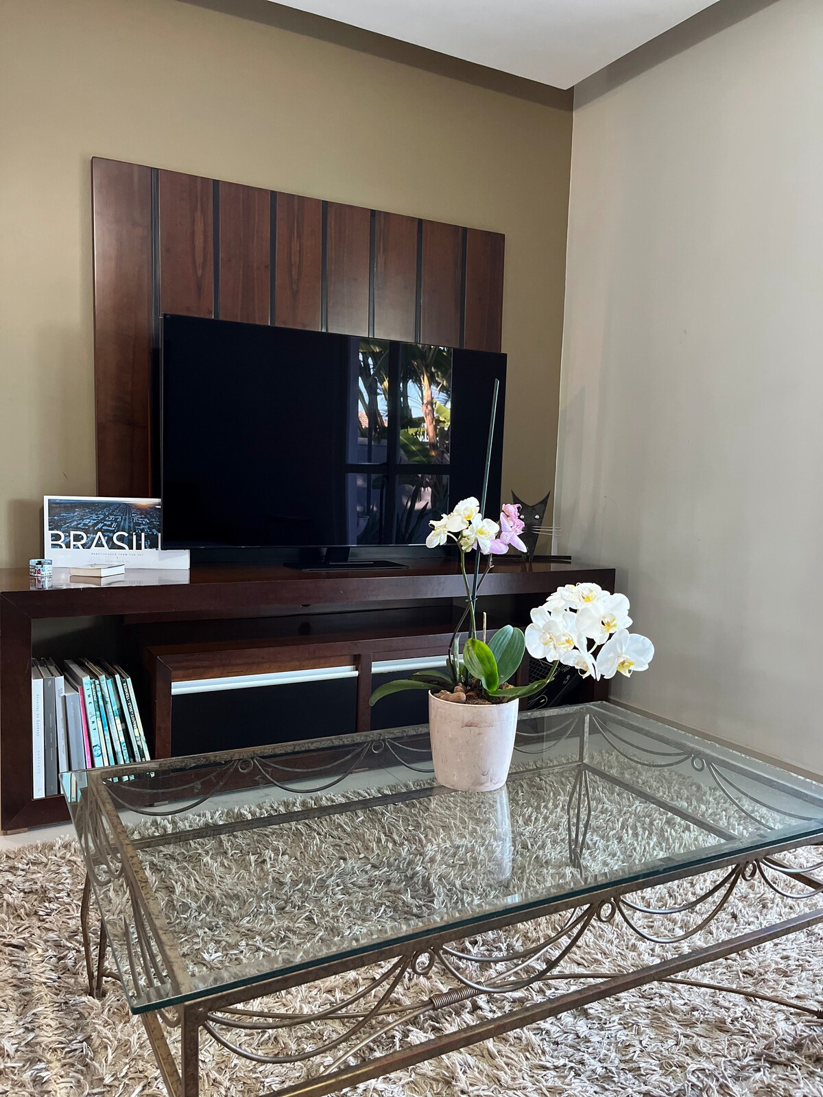 Utaweza kutazama GloboPlay, Netflix, Youtube na wasambazaji wengine wa matangazo.

Sofa ni nzuri na wakati wa usiku inaweza kufanya kazi pamoja na kitanda kingine cha watu wawili. 