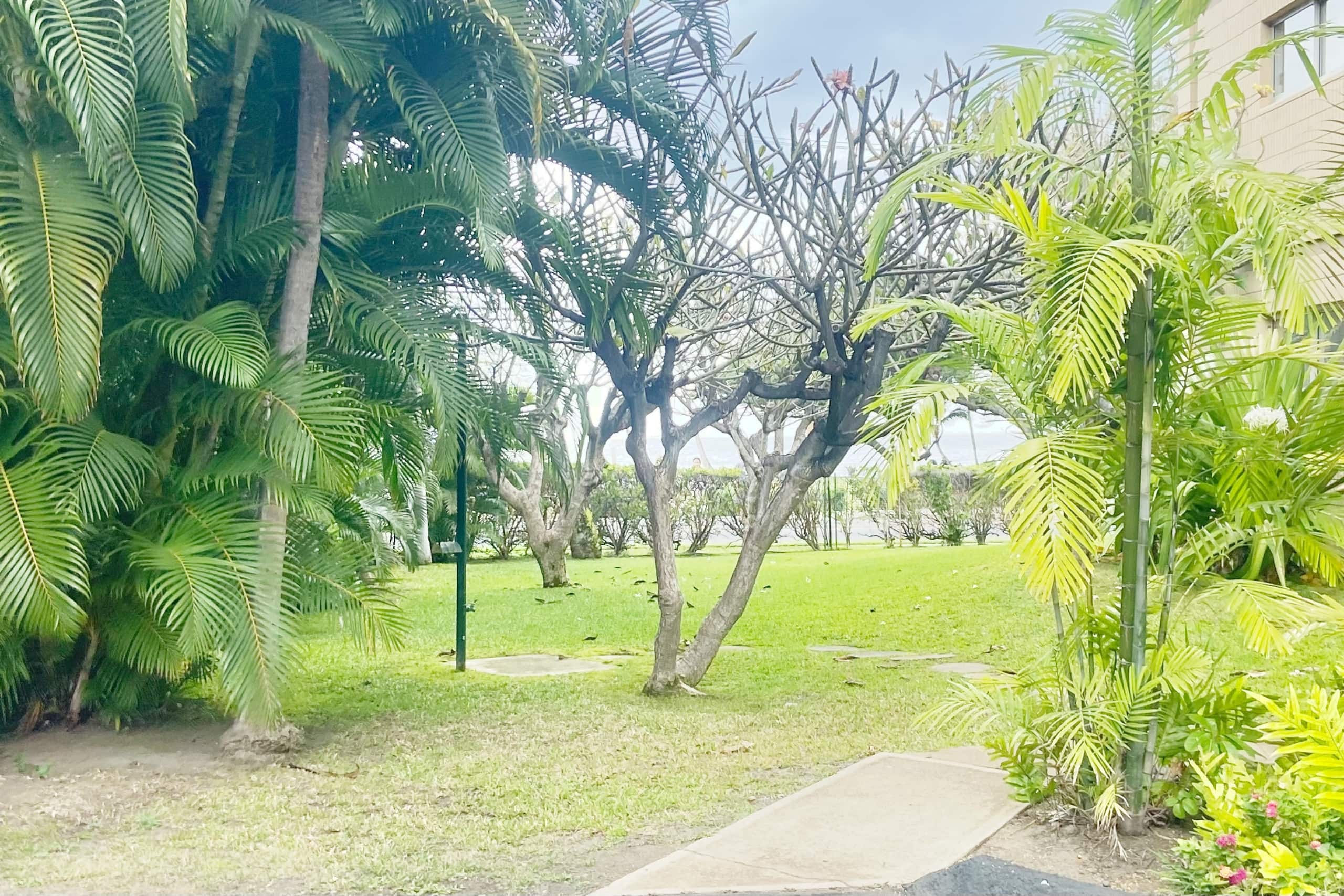 Condo in Kihei · ★4.87 · 2 bedrooms · 4 beds · 2 baths - Image 15