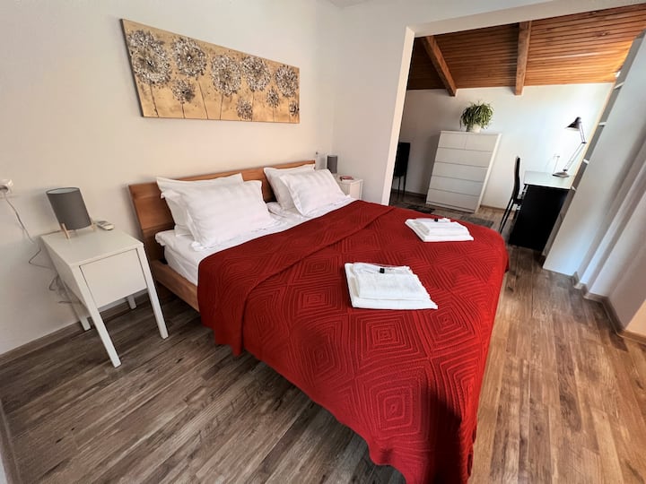 Habitación 1