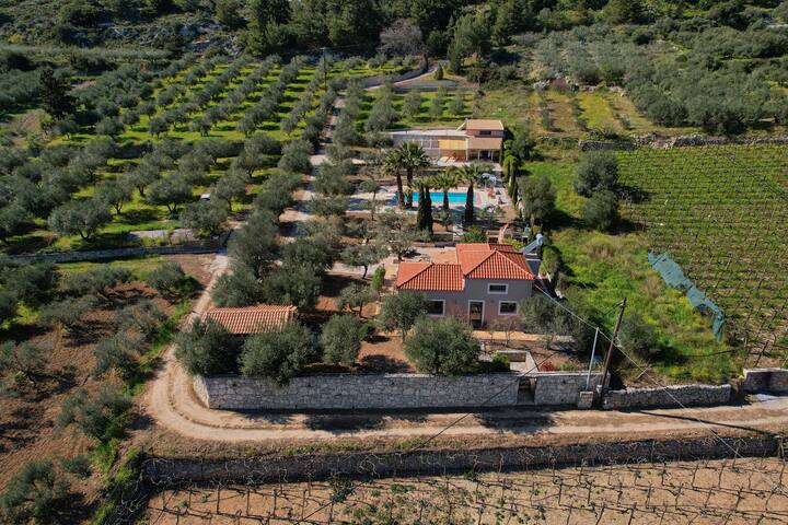 The Olive Grove Villas with private swimming pool