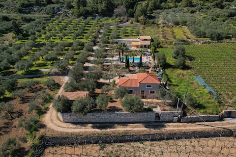 The Olive Grove Villas with private swimming pool