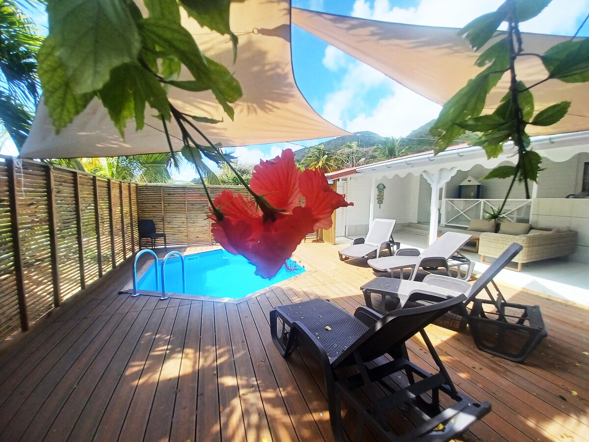 A private pool area features a well-maintained wooden deck surrounded by sun loungers under stylish shade sails. Bright hibiscus flowers are visible, adding a touch of color to the space. Lush greenery and palm trees frame the area, creating a serene outdoor atmosphere.
