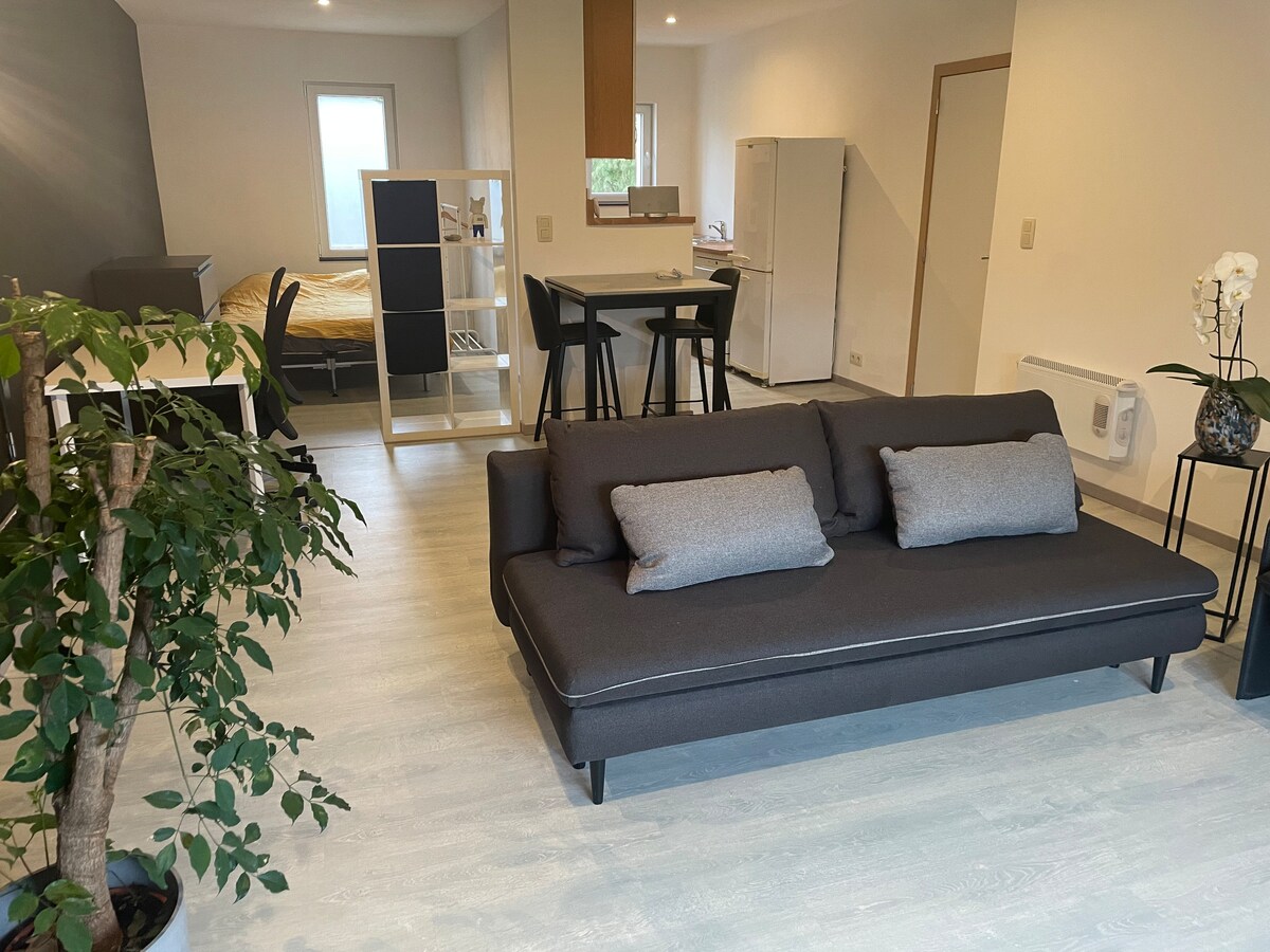 The 165 B, beautiful apartment Flats for Rent in Mons, Région