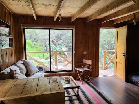 Popular Airbnb listing: Espacio Quetzal - beautiful cabin in Cordillera